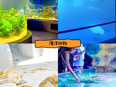 -秦皇岛乐岛海洋王国