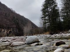 -黑河国家森林公园