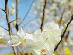 -孔乙己(后海店)