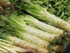 莴笋-金旭菜市场