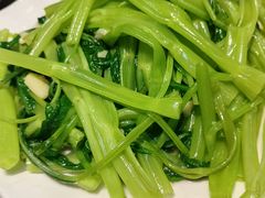 -港升鱼师傅·中山脆肉鲩