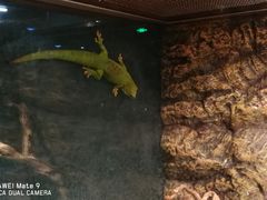 -聊城海底世界