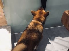 -NOTBAD 须时·咖啡馆