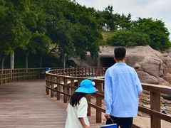 -青岛海景花园大酒店
