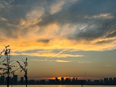 -游心咖啡(青山滨江店)