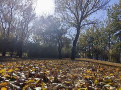 -百年义利(甜水园东里店)