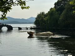 -西湖天地