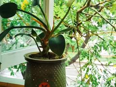 -雕刻时光咖啡馆(南院门店)