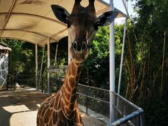 -泉州海丝野生动物世界