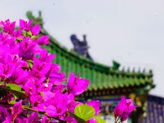 -天坛公园