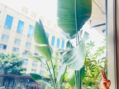 -生如夏花泰式火锅(西村黑金店)
