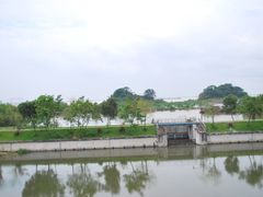 -大湾区中央湿地公园