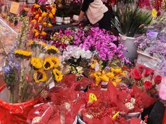 -越秀西湖花市(广州城市广场花卉店)