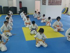 android_upload_pic-极真空手道修远道场