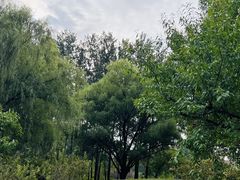 -仁和公园(顺义区)