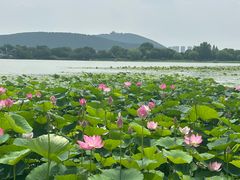 -云龙湖旅游景区
