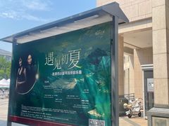 -北京大学百年讲堂