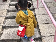 -猫咪博物馆(顶澳仔猫街店)