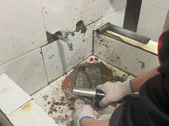 -大理.老字号渝记酸萝卜乌鱼(古城总店)