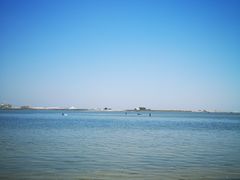 -北海金海湾红树林生态旅游区