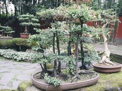 -成都武侯祠博物馆