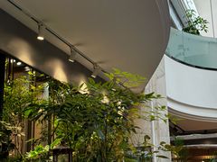 -大书房咖啡(中传国交店)