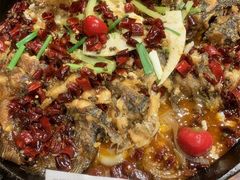 -老板恋上鱼(高新万达店)