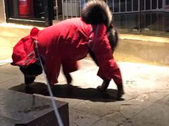 -PETKIT小佩宠物·低压洗护(国顺东路店)