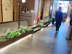 -宏宴·新京菜(望京店)