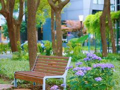 -东怡大酒店(上海科技馆店)