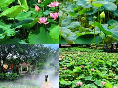 -广州莲花山旅游区