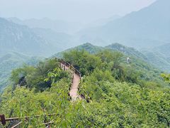 -大岭沟猕猴桃谷风景区