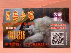 -喵屿·大理花园猫咖