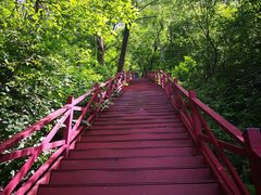 -野三坡百草畔景区