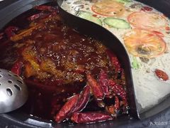 -杨家火锅(国美店)