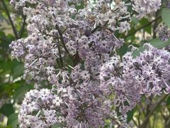 -南开大学(津南校区)