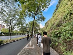 -千岛湖天屿景区