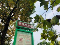 -三圣花乡旅游区