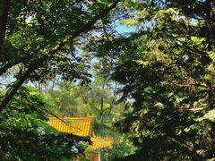 -萨尔浒风景区