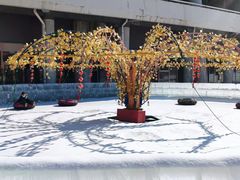 -沈阳奥体冰雪嘉年华