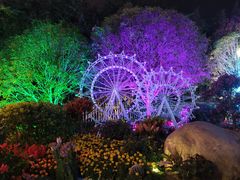 -南昌之星摩天轮