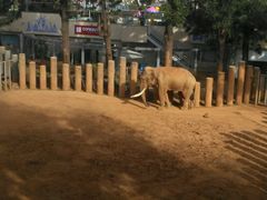 -昆明动物园