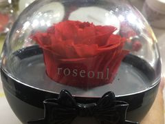 -ROSEONLY诺誓(国际广场购物中心店)