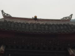 -峨眉山报国寺