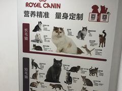 -创凡宠物医院·骨专科  猫科中心(西乡分院)