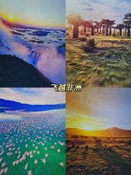 -飞览天下沉浸式飞行体验(北京旗舰店)