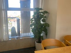 -历史系光华楼西楼19