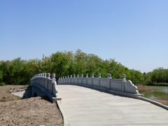 -塘沽森林公园