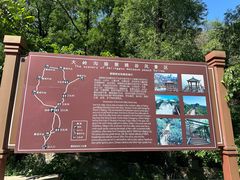-大岭沟猕猴桃谷风景区