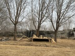 -北京野生动物园